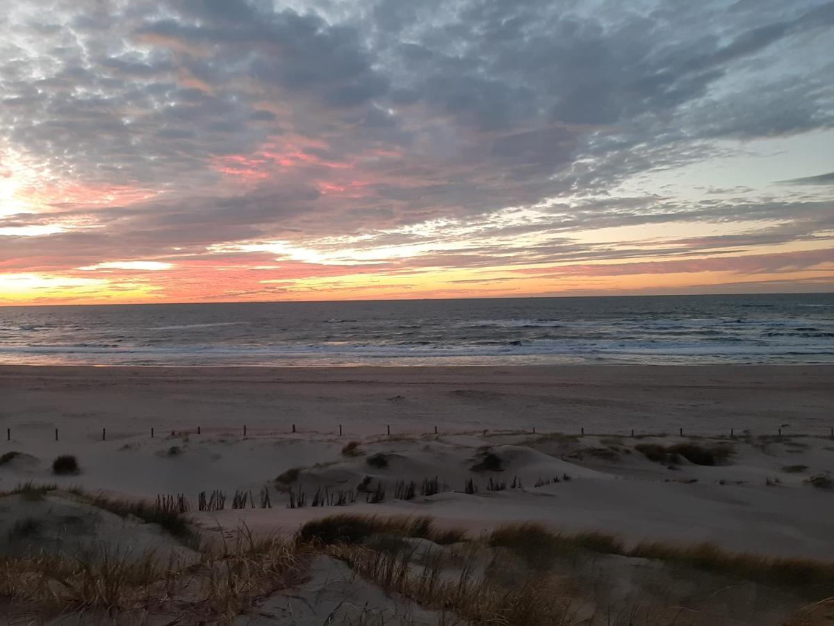 Boshuisje Petten Aan Zee Exteriér fotografie